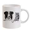 Mug - Border Collie & Kitten by Mike Sibley