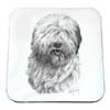 Coaster - Old English Sheepdog by Mike Sibley