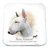 Coaster - Bull Terrier by Howard Robinson