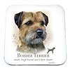 Coaster - Border Terrier by Howard Robinson