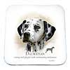 Coaster - Dalmatian by Howard Robinson