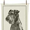 Teatowel - Airedale Terrier by Mike Sibley