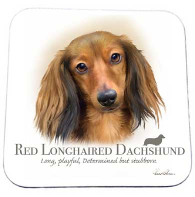 Howard Robinson coaster - Dachshund design